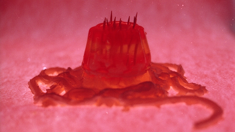 A blood-red, dome-shaped jelly sits in the centre of a slightly fuzzy, pink environment. Protruding from the top of the jelly and piercing the soft exterior are the sharp ends of multiple tooth picks. Around the base of the jelly is a snail-trail of pink whipped cream.